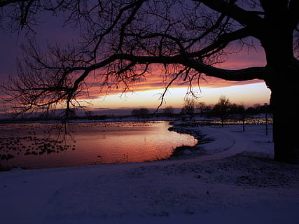 sø, træ, aften, solnedgang, rejse, himmel, udendørs, rolig, sæson, miljø, scene, udsigt, berolige, turisme, solskin, efterår, sollys, skov, løv, fredelig, ødemark, morgen, fredfyldte, slap af, landskabet, natur, bare træ, afspejling, skønhed i naturen, vand, ro, rolig scene, plante, scenics - natur, afdeling, silhuet, ingen mennesker, jord, strand, idyllisk, kold temperatur, 1080P, CC0, offentligt domæne, royaltyfrie