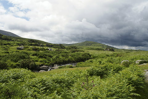 cielo, nuvole, collina, cielo nuvoloso, lande, Irlanda, nuvola - cielo, pianta, ambiente, paesaggio, scenics - natura, bellezza nella natura, albero, montagna, colore verde, natura, la tranquillità, scena tranquilla, terra, nessuno, scena non urbana, erba, giorno, all'aperto, 4K, CC0, dominio pubblico, privo di copyright