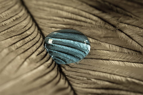 strauss spring, gocciolare, piuma, vicino, macro, sfondo, goccia d'acqua, struttura, piuma d'uccello, liquido, modello, avvicinamento, sfondi, fotogramma intero, blu, strutturato, nessuno, in casa, tessile, messa a fuoco selettiva, natura morta, morbidezza, corda, vista dall'alto, scelta, semplicità, variazione, vecchio, arte e artigianato, color turchese, 4K, CC0, dominio pubblico, privo di copyright
