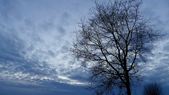 Baum, Landschaft, Sonnenuntergang, Himmel, Wochenende, Natur, Blau, draußen, Wetter, wolke - himmel, Flachwinkelansicht, kahler Baum, Pflanze, Ast, Schönheit in der Natur, Ruhe, keine Leute, Silhouette, Szenen - Natur, ruhige Szene, Tag, Dämmerung, Nicht-städtische Szene, 4K, CC0, gemeinfrei, lizenzfrei