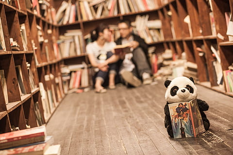 selektiv, fokus fotografie, Panda, Plüsch-, Spielzeug, halten, Buch, Vorderseite, zwei, Person, Sitzung, Bücherregal, Bibliothek, Paare, Bildung, Student, Regal, Lernen, Menschen, drinnen, Säugetier, Panda - Tier, Plüschtier, Kindheit, Darstellung, Holz - Material, klein, selektiver Fokus, Teddybär, Kunst und Handwerk, menschliche Darstellung, Männer, Erwachsene, 1080P, CC0, gemeinfrei, lizenzfrei