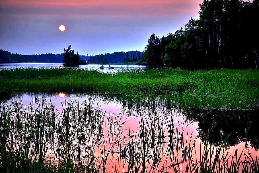 lac, verde, iarba suprafata, zori de zi, iarbă verde, vedere, apus de soare, amurg, seară, cer, nori, copaci, apă, Quebecului, Canada, reflecţie, natură, Violet, iarbă, plantă, liniște, o scenă liniștită, frumusețe în natură, scenice - natura, creştere, nici o persoana, nor - cer, copac, Culoarea verde, idilic, scenă non-urbană, în aer liber, 1080P