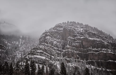 sne, dækket, stenet, bjerg, snowcap mountain, gråtoner, fotografering, overskyet, klippe, Skov, vinter, natur, landskab, scenics, træ, ingen mennesker, udendørs, koldtemperatur, tåge, miljø, scenics - natur, jord, skønhed i naturen, plante, himmel, rock-objekt, ro, solid, rolig scene, rejse, nåletræ, fyrretræ, bjergkæde, fyrreskov, bjergtop, 5K, CC0, offentligt domæne, royaltyfrie