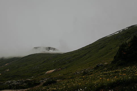 verde, montagne, grigio, cielo, giorno, fotografia di paesaggio, coperto, nuvole, pendio, erba, fiori, crepuscolo, nebbia, nebbioso, montagna, avventura, Esplorare, pioggia, lunatico, verdura, fiore, bellezza nella natura, scenics - natura, nessuno, natura, scena non urbana, ambiente, pianta, terra, paesaggio, la tranquillità, nuvola - cielo, scena tranquilla, all'aperto, viaggio, 4K, CC0, dominio pubblico, privo di copyright