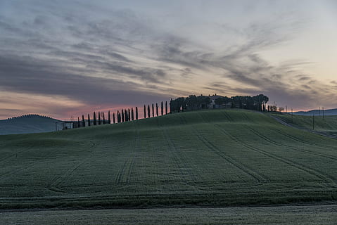 clouds, field, grass, landscape, nature, sky, trees, cloud - sky, sunset, land, scenics - nature, no people, beauty in nature, architecture, tranquility, environment, plant, tranquil scene, agriculture, built structure, building exterior, farm, 5K