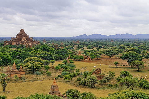 Ankor Wat, Kambodscha, braun, Schloss, umgeben, Bäume, Weiß, Himmel, tagsüber, antike Ruinen, Kumuluswolken, Tempel, Berg, Baum, Wolke, Hügel, Bagan, Asien, Natur, Landschaft, draußen, szenen, Kulturen, berühmter Platz, Religion, die Architektur, keine Leute, Reiseziele, Anbetungsstätte, wolke - himmel, Pflanze, Geschichte, gebaute Struktur, die Vergangenheit, Umgebung, Glauben, Reise, Gebäudehülle, uralt, Spiritualität, alte Zivilisation, Archäologie, ruiniert, 4K, CC0, gemeinfrei, lizenzfrei