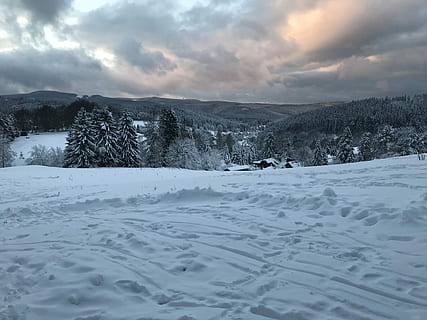 champ de neige, pins, neige, couvert, sol, chaîne de montagnes, gris, nuageux, ciel, Montagne, des pistes, arbre, des bois, hiver, température froide, nuage - ciel, paysages - nature, plante, environnement, paysage, scène tranquille, personne, la nature, terre, scène non urbaine, beauté dans la nature, tranquillité, couleur blanche, pin, conifère, montagne au sommet enneigé, à la surface, il neige, 4K, CC0, domaine public, libre de droits