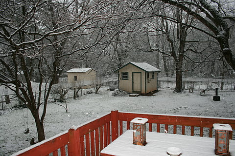 Winter, Hinterhof, Schneefall, ruhig, trostlos, Schnee, kalte Temperatur, die Architektur, Gebäudehülle, gebaute Struktur, Baum, kahler Baum, Gebäude, Pflanze, keine Leute, Natur, Ast, weiße Farbe, Barriere, Abdeckung, Zaun, Geländer, Haus, draußen, extremes Wetter, schneit, schneebedeckter Berg, 4K, CC0, gemeinfrei, lizenzfrei