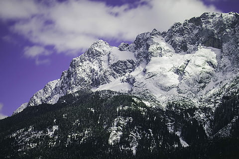 neu, cobert, muntanya, blau, cel, arbre, eibsee, zugspitze, top of germany, llac, bosc, temperatura de fred, bellesa a la natura, hivern, núvol - cel, naturalesa, escenics - natura, vista d’angle baix, Serra, planta, medi ambient, muntanya nevada, cap gent, tranquil·litat, dia, escena tranquil·la, cim de muntanya, a l'aire lliure, formació, arbre de coníferes, 4K, CC0, domini públic, lliure de regalies