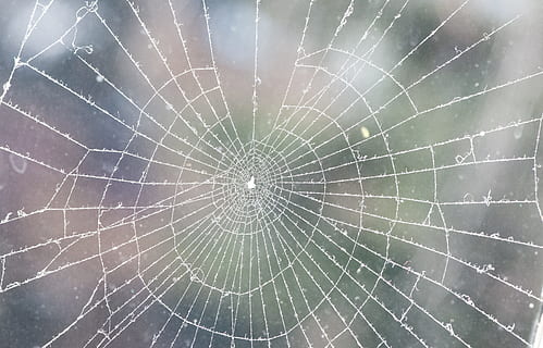 web, îngheţ, iarnă, vreme rece, rece, vreme, simbol, frig, fundaluri, crăpat, texturată, cadru complet, murdar, deteriorat, a închide, fragilitate, panza de paianjen, nici o persoana, vulnerabilitate, natură, model, să se concentreze asupra primelor elemente, modelul natural, concentric, spart, în aer liber, frumusețe în natură, murdărie, macro, arhitectură, complexitate, 4K, CC0, domeniu public, fără drepturi de autor