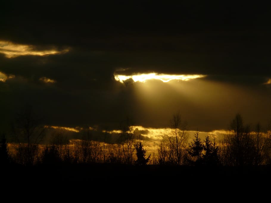 silhuet foto, træer, sort, skyer, sol, solstråle, åbning, Gud, himmel, tro, lys, mørk, helvede, Skov, natur, solnedgang, landskab, udendørs, scenics, nat, skumring, træ, sollys, skønhed i naturen, sky - himmel, rolig scene, lys - naturligt fænomen, silhuet, belyst, afspejling, ingen mennesker, plante, scenics - natur, miljø, jord, ro, storm, uhyggelig, 2K