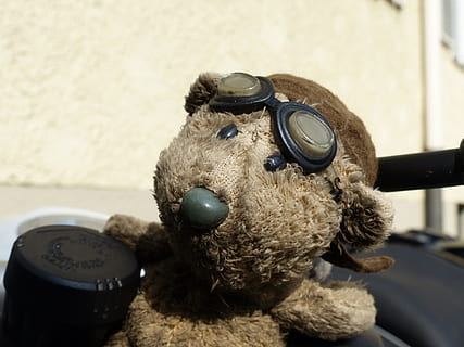 Bär, Motorrad, Brille, vor dem Flug entfernen, braun, Jahrgang, Fahrt, Beige, Lenker, Glücksbringer, Talisman, klein, Süss, Teddybär, Spielzeug, Kindheit, Plüschtier, keine Leute, Nahansicht, Tag, drinnen, Tierdarstellung, Darstellung, Fokus auf den Vordergrund, Stillleben, Tierthemen, Kreativität, Tier, Vieh, Haustiere, Humor, Spaß, 4K, CC0, gemeinfrei, lizenzfrei