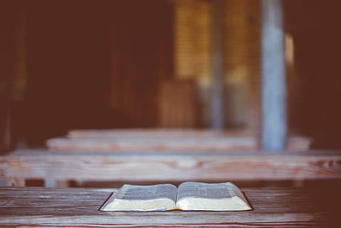 selektiv, Foto fokussieren, geöffnet, Buch, braun, hölzern, Oberfläche, Bibel, lesen, Tabelle, Holz - Material, drinnen, Fokus auf den Vordergrund, keine Leute, kopieren sie platz, Nahansicht, Abwesenheit, Essen und Trinken, selektiver Fokus, Stillleben, Lebensmittel, Emotion, Tag, Religion, Sitz, Bodenbelag, Süßes Essen, Seite an Seite, positive Emotionen, Oberflächenniveau, 5K, CC0, gemeinfrei, lizenzfrei