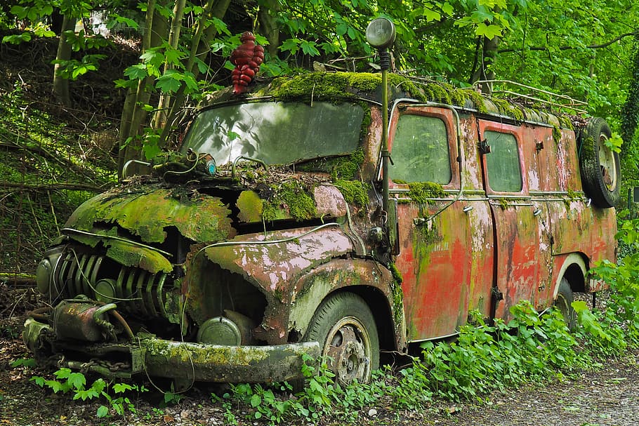 arruïnat, vermell, vehicle, mig, bosc, automàtic, cementiri del cotxe, oldtimer, vell, òxid, karre inoxidable, inoxidable, rovellat, nostàlgia, naufragis, ferralla, restes de cotxes, desballestament del cotxe, descartat, història, memòria, acabar, Apagat, decaïment, oblida't, cotxes antics, es va retirar, obsoleta, camió, foc, camió de bombers, llocs perduts, pforphoto, trencat, humor, lloc perdut, descuidat, manera de transport, abandonat, vehicle terrestre, transport, espatllat, automòbil, dia, aixafar, declivi, deteriorament, cotxe, planta, terra, naturalesa, camp, arbre, color verd, cap gent, a l'aire lliure, roda, 4K