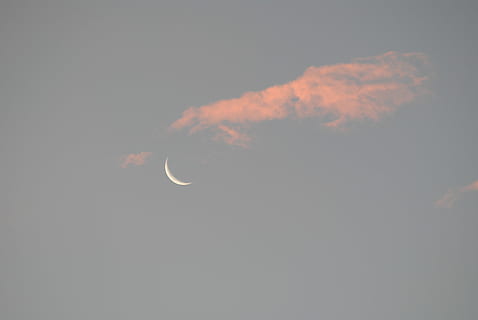måne, dækket, skyer, dagtimerne, månens, himmel, Sky, måneskin, sky - himmel, nat, skønhed i naturen, plads, ingen mennesker, natur, astronomi, lav vinkel visning, scenics - natur, udendørs, rumudforskning, ro, kopiere plads, naturligt fænomen, Halvmåne, planetmåne, solsystem, 4K, CC0, offentligt domæne, royaltyfrie