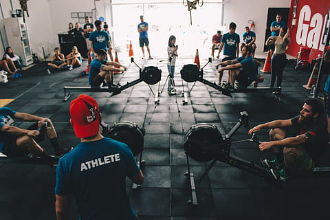 people in gym, athletes, endurance, energy, exercise, exercise equipment, fitness, group, gym, men, people, training, group of people, crowd, large group of people, real people, lifestyles, women, sport, day, strength, adult, healthy lifestyle, competition, leisure activity, exercising, indoors, sports training, city, weight training, effort, 1080P, CC0, public domain, royalty free
