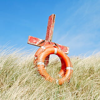 rood, houten, kruis, twee, oranje, zwemmen, ringen, gered, strand, ring, hemel, land-, natuur, fabriek, veld-, gras, dag, blauw, geen mensen, zonlicht, Oranje kleur, groei, buitenshuis, landbouw, landschap, landelijke scène, metaal, schoonheid in de natuur, milieu, lage hoekweergave, 2K, CC0, publiek domein, royaltyvrij