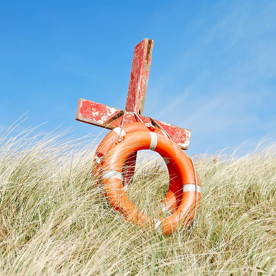 rosso, di legno, attraversare, Due, arancia, nuotare, anelli, salvato, spiaggia, squillare, cielo, terra, natura, pianta, campo, erba, giorno, blu, nessuno, luce del sole, colore arancione, crescita, all'aperto, agricoltura, paesaggio, scena rurale, metallo, bellezza nella natura, ambiente, Inquadratura dal basso, 2K