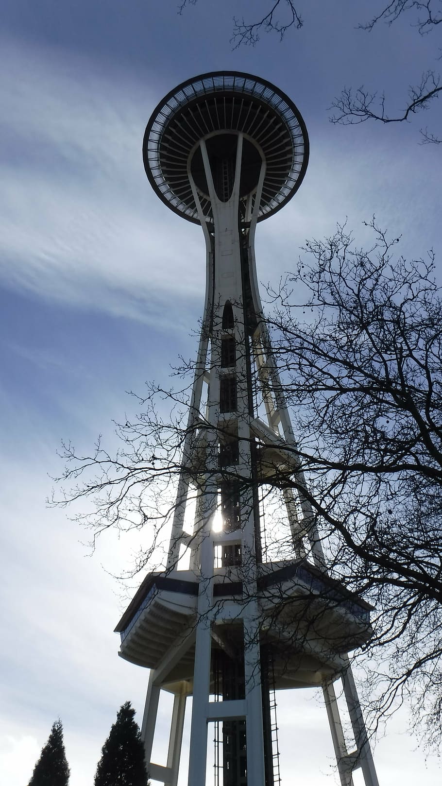 agulla espacial, Seattle, referència, cel, vista d’angle baix, torre, arbre, alta - alta, naturalesa, arquitectura, núvol - cel, arbre nu, estructura construïda, planta, cap gent, tecnologia, dia, a l'aire lliure, exterior de l'edifici, branca, comunicació, destinacions de viatge, comunicacions globals, 4K