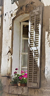 window, old, building, shutter, neglect, plants, flowers, sill, italy, built structure, architecture, building exterior, no people, day, wall - building feature, flowering plant, flower, house, plant, residential district, weathered, abandoned, outdoors, closed, run-down, flower pot, 5K, CC0, public domain, royalty free