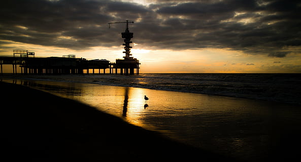 seelandschaft, Sonnenuntergang, Wolken, Strand, Küste, Dock, Kran, Möwe, Stehen, Silhouetten, Reflexionen, Landschaft, Dämmerung, Seebrücke, Horizont, Kai, Abend, Meer, Wasser, Ozean, Dunkelheit, Vogel, einsam, Porträt, friedlich, Ruhe, heiter, Gelassenheit, Himmel, wolke - himmel, die Architektur, Natur, Silhouette, gebaute Struktur, Reflexion, orange Farbe, Horizont über Wasser, Schönheit in der Natur, Szenen - Natur, keine Leute, Land, draußen, 4K, CC0, gemeinfrei, lizenzfrei