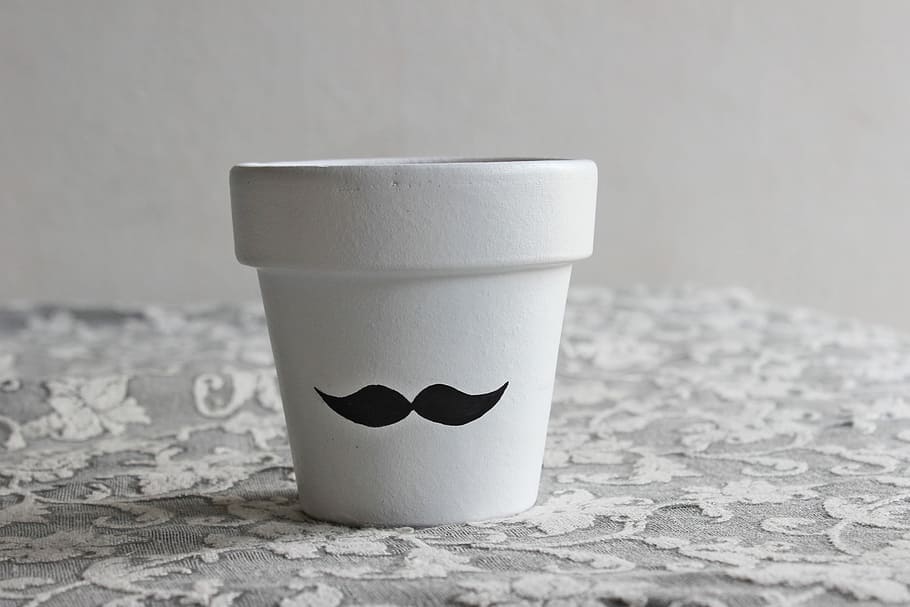 vaso, incolla, pianta, pentola, bere, nessuno, girato in studio, bicchiere, cibo e bevande, in casa, avvicinamento, tazza, singolo oggetto, carta, grigio, concentrarsi sulle conoscenze acquisite, Colore bianco, boccale, rinfresco, natura morta, semplicità, piccolo, tazza di caffè, tazza usa e getta, 2K