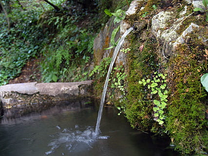 zdroj, voda, proud, cano, stožár, svěžest, Příroda, mech, povodí, kapky, rostlina, krása v přírodě, les, Skála, strom, nikdo, scenics - příroda, pevný, rock - objekt, pohyb, tekoucí voda, růst, den, tekoucí, řeka, přistát, vodopád, venku, padající voda, deštný prales, moci, 2K, CC0, veřejná doména, bez autorských práv