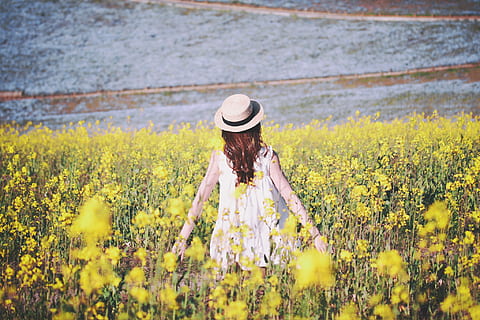 mujer, vistiendo, blanco, sin mangas, parte superior, en pie, campo, las flores, tiempo de día, naturaleza, al aire libre, flor, gente, verano, una persona, sombrero, hembras, relajación, escena rural, etnia caucásica, felicidad, belleza, estilos de vida, belleza en la naturaleza, adulto joven, disfrute, adulto, amarillo, hermoso, prado, actividad de ocio, alegre, libertad, gente serena, cultivo, agricultura, planta floreciendo, planta, ropa, tierra, crecimiento, pelo largo, peinado, sombrero para el sol, pelo, primavera, 1080P, CC0, dominio público, libre de derechos