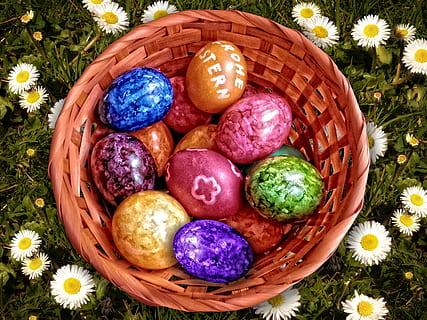 Pasen nest, Pasen, Paas eieren, kleurrijk, mand, easter egg schilderij, de lente, gekleurde, paasei, voedsel, eten en drinken, houder, ei, versheid, viering, bloem, bloeiende plant, vakantie, fabriek, multi gekleurd, vlechtwerk, hoge hoekmening, recht boven, geen mensen, 2K, CC0, publiek domein, royaltyvrij