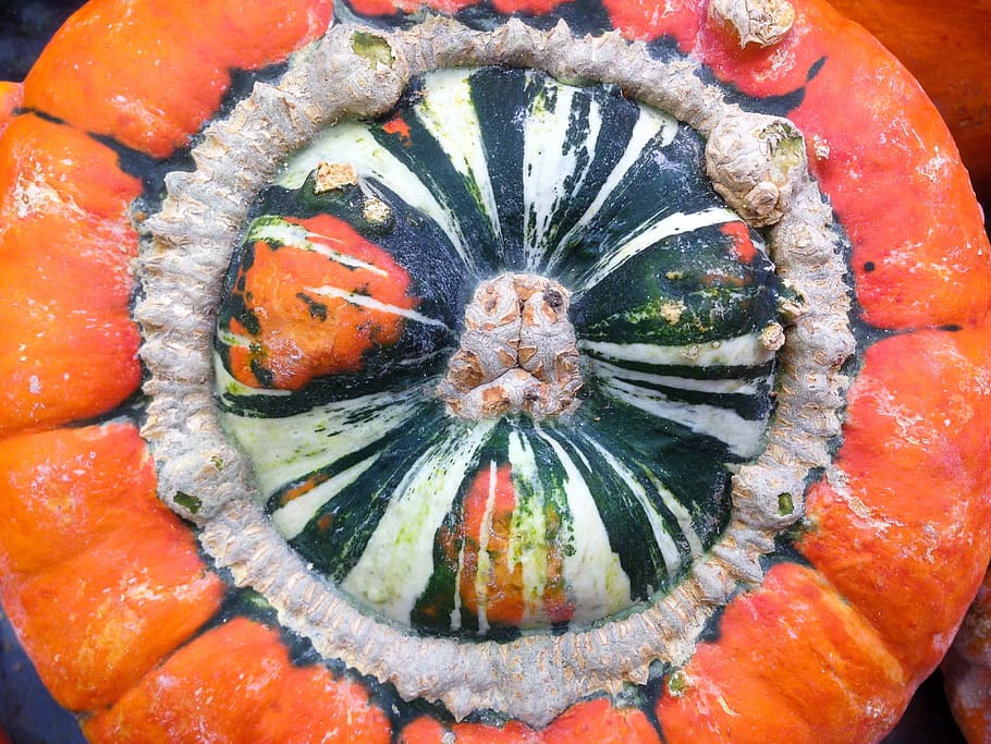 vegetal, abóbora, Horta, Comida, comida e bebida, frescura, Alimentação saudável, fechar-se, ninguém, círculo, bem-estar, forma geométrica, cor laranja, forma, fruta, padronizar, quadro completo, origens, dia, vermelho, ainda vida, desenhar, 2K
