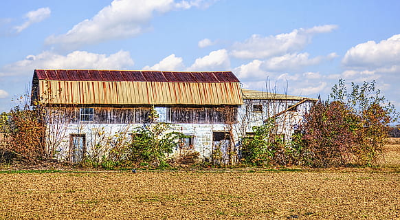 Scheune, rustikal, Scheunen, Ohio, digitale Kunst, ländlich, szenisch, Land, Landschaft, Schuppen, wirft, Bauernhof, Bauernhöfe, Landwirtschaft, landwirtschaftlich, Bauernhaus, champaign, Bezirk, Americana, Foto, fotografieren, Struktur, Strukturen, sturgell, William Sturgell, bill sturgell, historisch, Wohnkultur, Gebäude, Wolken, Himmel, Baum, Bäume, wolkig, Unkraut, Champaign County, Urbana, die Architektur, gebaute Struktur, wolke - himmel, Natur, Pflanze, Gebäudehülle, keine Leute, draußen, ländliche Szene, Tag, Umgebung, Haus, Industrie, Blau, Reiseziele, 5K, CC0, gemeinfrei, lizenzfrei