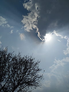 cer, nori, Cloudscape, ceruri de nori, noros, nor - cer, vedere unghiulară joasă, copac, frumusețe în natură, liniște, natură, scenice - natura, lumina soarelui, o scenă liniștită, nici o persoana, plantă, zi, în aer liber, idilic, rază de soare, soare, arbore gol, ramură, însorit, luminos, Streaming, meteorologie, 4K, CC0, domeniu public, fără drepturi de autor