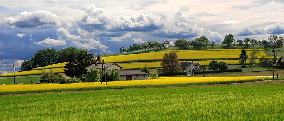 panoráma, krajina, styria, mraky, Příroda, výhled, nebe, Pohled, Rakousko, pole, kopec, zemědělství, venkovské scény, scén, hospodařit, zelená barva, venku, letní, mimoměstské scény, louka, krása v přírodě, strom, tráva, přistát, rostlina, životní prostředí, scenics - příroda, mrak - nebe, klidné scény, zemědělské budovy, exteriér budovy, klid, oříznutí, budova, nikdo, jaro, zvlněná krajina, 2K