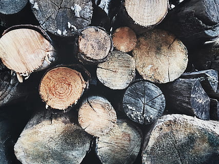 lemn, copac, logare, Buturuga, cherestea, cadru complet, lemne de foc, industria cherestelei, fundaluri, lemn - material, grup mare de obiecte, grămadă, abundenţă, texturată, Woodpile, combustibil și generarea de energie electrică, despădurire, probleme de mediu, pădure, nici o persoana, combustibil fosil, în aer liber, 4K, CC0, domeniu public, fără drepturi de autor