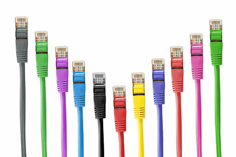 assorted-color cables, network connector, network cables, cable, patch, patch cable, rj, rj45, rj-45, network, line, fs, data processing, connection, plug, lan, lan cable, technology, data, network Connection Plug, internet, communication, business, computer, white background, studio shot, multi colored, choice, indoors, variation, no people, close-up, arrangement, cut out, large group of objects, copy space, still life, group of objects, in a row, blue, collection, 5K, CC0, public domain, royalty free