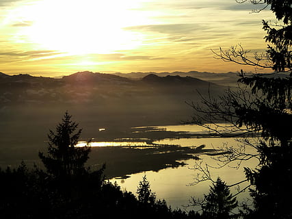 lake constance, bregenz, solnedgang, træ, bjerge, Skov, grene, gul, Sky, sol, dis, himmel, scenics - natur, skønhed i naturen, ro, plante, silhuet, rolig scene, sky - himmel, vand, ingen mennesker, natur, ikke-urbane scene, idyllisk, bjerg, sø, orange farve, udendørs, 2K, CC0, offentligt domæne, royaltyfrie