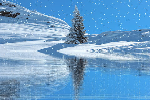 verde, Pino, mezzo, campo del manto nevoso, inverno, la neve, nevicata, invernale, freddo, Natale, paesaggio innevato, eiskristalle, temperatura fredda, natura, congelato, nessuno, bellezza nella natura, Colore bianco, blu, movimento, giorno, scenics - natura, acqua, scena tranquilla, la tranquillità, cielo, albero, nevicando, all'aperto, montagna innevata, albero di conifere, 5K, CC0, dominio pubblico, privo di copyright