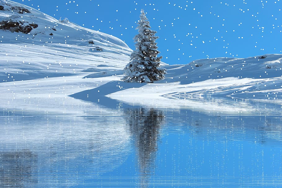verde, Pino, mezzo, campo del manto nevoso, inverno, la neve, nevicata, invernale, freddo, Natale, paesaggio innevato, eiskristalle, temperatura fredda, natura, congelato, nessuno, bellezza nella natura, Colore bianco, blu, movimento, giorno, scenics - natura, acqua, scena tranquilla, la tranquillità, cielo, albero, nevicando, all'aperto, montagna innevata, albero di conifere, 5K