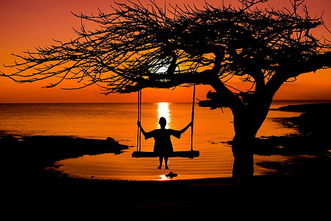 persona, columpio silueta, puesta de sol, Dom, cielo de la tarde, Abendstimmung, cielo, resplandor crepuscular, romántico, oscuridad, naranja, agua, mar, árbol, oscilación, rock, mujer, niña, estético, reservado, silueta, color naranja, planta, estilos de vida, naturaleza, paisajes - naturaleza, belleza en la naturaleza, gente real, actividad de ocio, una persona, longitud total, en pie, tierra, brazo humano, brazos levantados, 1080P, CC0, dominio público, libre de derechos