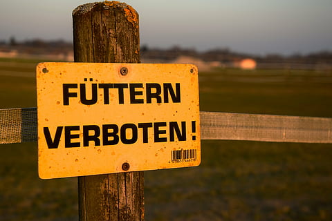 skjold, tegn, Bemærk, sikkerhed, Gade skilt, forbyde, warnschild, skilt, tekst, meddelelse, vestlige script, træ - materiale, advarselsskilt, fokus på forgrunden, tæt på, vejledning, ingen mennesker, Information, informationsskilt, symbol, natur, barriere, dag, vejskilt, hegn, grænse, udendørs, stolpe, træ post, besked, 5K, CC0, offentligt domæne, royaltyfrie
