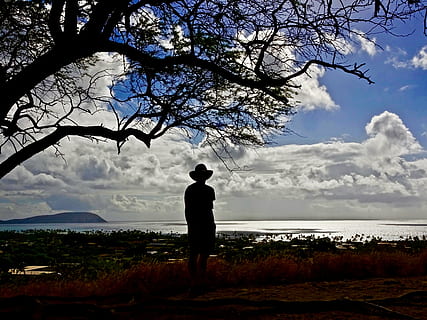 silhueta, Visão, céu, nuvens, distante, mar, luz solar, panorama, árvore, nuvem - céu, uma pessoa, plantar, pessoas reais, de pé, beleza na natureza, natureza, estilos de vida, scenics - natureza, homens, visão traseira, atividade de lazer, agua, cena tranquila, tranquilidade, comprimento total, ao ar livre, olhando a vista, 4K, CC0, domínio público, royalty free