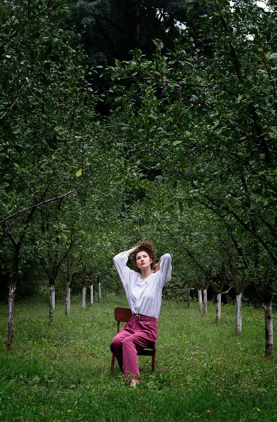 foto, donna, bianca, manica lunga, superiore, rosso, pantaloni, seduta, Marrone, sedia, circondare, alberi, donna in bianco, manica, all'aperto, donne, natura, persone, una persona, rilassamento, adulto, parco - spazio creato dall'uomo, albero, femmine, sorridente, etnia caucasica, allegro, erba, bellissimo, bellezza, estate, stili di vita, solo una donna, solo donne, vista frontale, solo adulti, pianta, colore verde, abbigliamento casual, attività di svago, crescita, persone reali, giorno, terra, lunghezza intera, ritratto, 2K