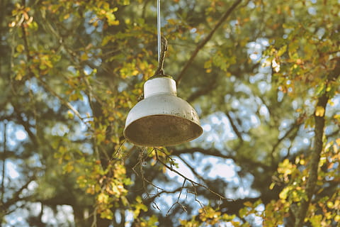 shallow, focus photo, white, street lamp, pendant lamp, outdoor, daytime, close up photography, white metal, bulb, pendant, day, time, lamp, light, tree, branch, twig, hanging, bell, outdoors, leaf, decoration, low angle view, plant, focus on foreground, lighting equipment, no people, nature, growth, plant part, autumn, green color, close-up, metal, change, electric lamp, 2K, CC0, public domain, royalty free