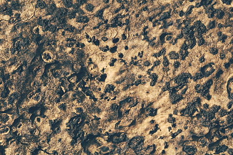 brauner Grund, Kork, Textur, abstrakt, Makro, Nahansicht, Vollbild, Hintergründe, keine Leute, Muster, texturiert, Tag, Natur, Rau, braun, draußen, High Angle View, Schönheit in der Natur, direkt darüber, Strand, Ruhe, Mineral, Sand, 5K, CC0, gemeinfrei, lizenzfrei