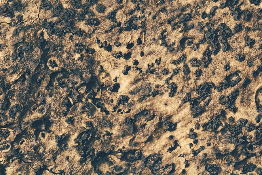 brauner Grund, Kork, Textur, abstrakt, Makro, Nahansicht, Vollbild, Hintergründe, keine Leute, Muster, texturiert, Tag, Natur, Rau, braun, draußen, High Angle View, Schönheit in der Natur, direkt darüber, Strand, Ruhe, Mineral, Sand, 5K
