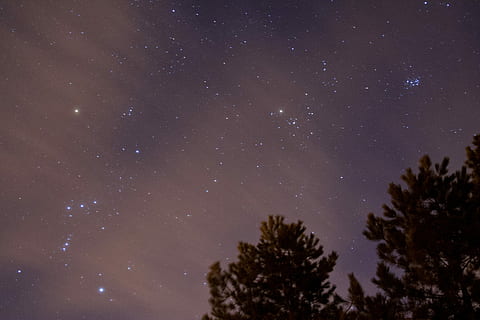nuotrauka, žalias, lapų medis, Žvaigždėta naktis, medžiai, žvaigždėtas naktinis dangus, naktis, dangus, žvaigždė, medis, naktinis dangus, tamsus, astronomija, cosmo, erdvė, žvaigždė - erdvė, augalų, grožis gamtoje, žemas kampo vaizdas, ramybė, pobūdį, galaktika, vaizdai - gamta, nėra žmonių, žvaigždės laukas, siluetas, ramioje scenoje, augimą, begalybė, erdvė ir astronomija, šviesumas, 2K, CC0, Viešasis domenas, nemokamai