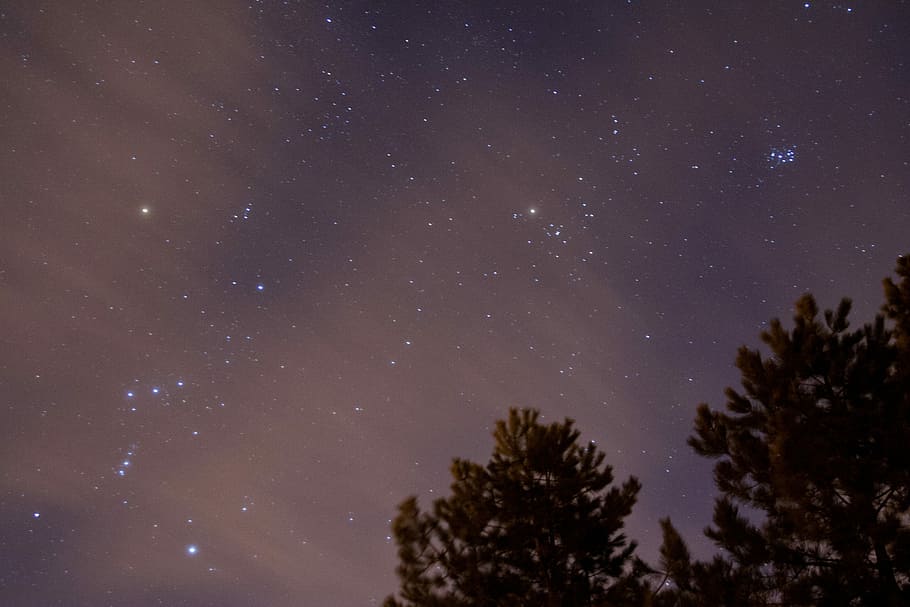 foto, verde, albero delle foglie, notte stellata, alberi, cielo notturno stellato, notte, cielo, stella, albero, cielo notturno, buio, astronomia, Cosmo, spazio, stella - spazio, pianta, bellezza nella natura, Inquadratura dal basso, la tranquillità, natura, galassia, scenics - natura, nessuno, campo stellare, silhouette, scena tranquilla, crescita, infinito, spazio e astronomia, luminosità, 2K
