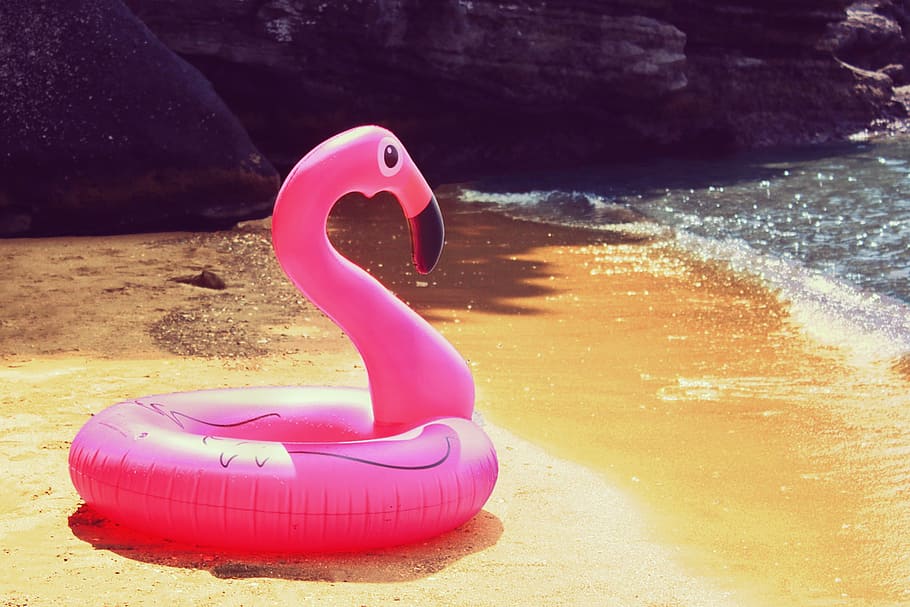 flamingo floatie, vora del mar, durant el dia, flamenc, platja, aigua, mar, a l'aire lliure, vermell, estiu, cap gent, color rosa, sorra, primer pla, inflable, dia, terra, naturalesa, tub, llum solar, plàstic, representació, representació animal, sol objecte, joguina, 1080P