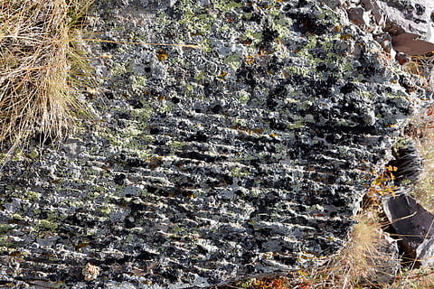 Kennedy, Stein, Textur, Zusammensetzung, Makro, Natur, die steine ​​sind, Detail, Hintergrund, alt, Umwelt, Stein Textur, das Interessante, wunderschönen, auf, Reise, Fotografie, großartig, unglaublich, interessante Texturen, Flechte, Flechtenfelsen, Farbe, Farbtextur, getragen, Ästhetik, sarmiento, Granit, Hardrock, Moos, moosig, beeindruckend, natürlich, Natursteine, natürliche Schönheit, Wachstum, keine Leute, Tag, Pflanze, Rock, Vollbild, draußen, Rau, solide, texturiert, Schönheit in der Natur, Muster, Rock - Objekt, Nahansicht, Baumstamm, Kofferraum, Hintergründe, Baum, gebaute Struktur, 5K, CC0, gemeinfrei, lizenzfrei