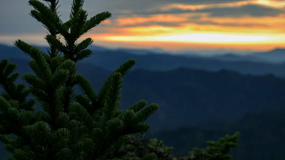Wolken, Dämmerung, Abend, Landschaft, Licht, Morgen, Berge, Natur, draußen, Kiefer, Himmel, Sommer-, Sonne, Sonnenaufgang, Sonnenuntergang, Reise, Wasser, Pflanze, Schönheit in der Natur, Wachstum, Szenen - Natur, Ruhe, keine Leute, grüne Farbe, Baum, wolke - himmel, ruhige Szene, Nicht-städtische Szene, Berg, Palme, idyllisch, tropisches Klima, Umgebung, 4K, CC0, gemeinfrei, lizenzfrei